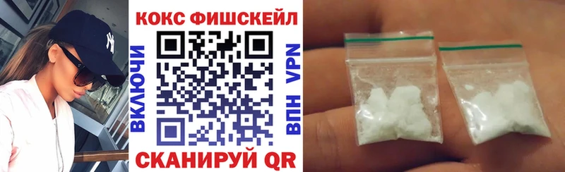 COCAIN FishScale  закладка  Олёкминск 