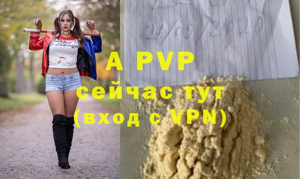 шишки Балахна