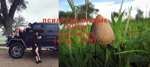 шишки Балахна