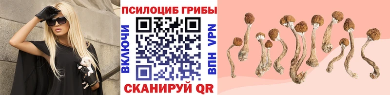 Галлюциногенные грибы Psilocybine cubensis  мориарти какой сайт  Олёкминск  МЕГА вход 